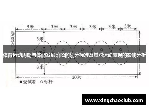 体育运动周期与体能发展阶段的划分标准及其对运动表现的影响分析