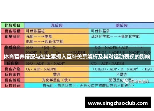 体育营养搭配与维生素摄入互补关系解析及其对运动表现的影响